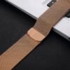 Milanese Belt Champage Gold