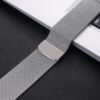 Milanese Belt Silver