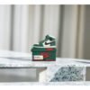 Jordan Shoe Case Green